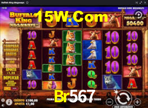 Premium Interface Br567